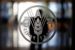 ارزانی مواد غذایی شامل گندم نشد