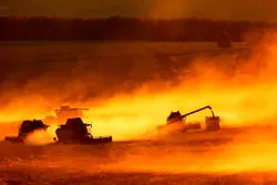 پشت پرده رشد صادرات گندم روسیه به آفریقا