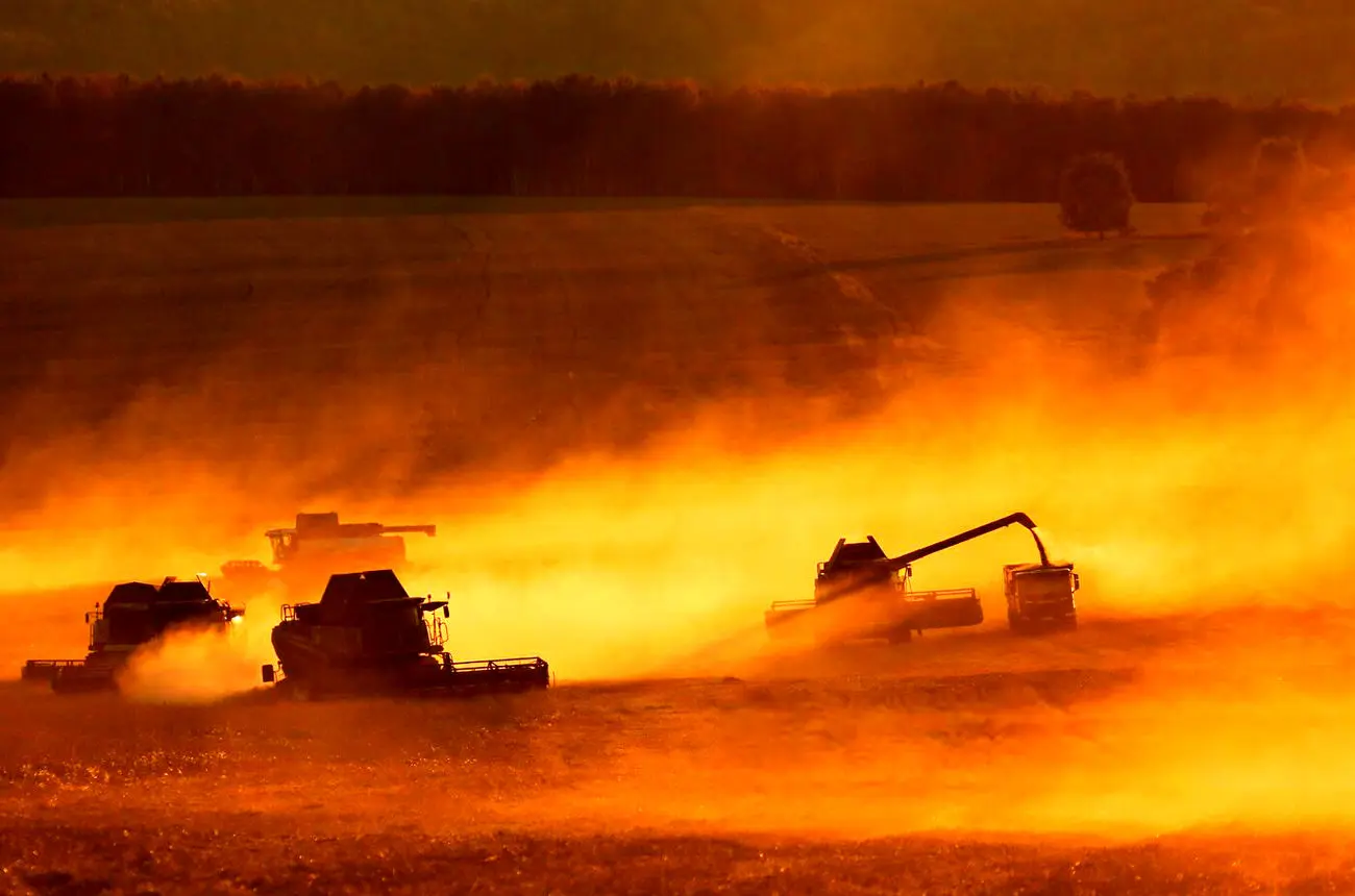 پشت پرده رشد صادرات گندم روسیه به آفریقا