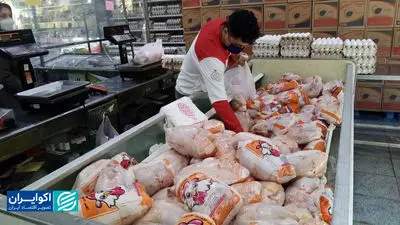 هشدار از تولید به مصرف گوشت مرغ؛ روایت آمار از افت عرضه