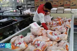 هشدار از تولید به مصرف گوشت مرغ؛ روایت آمار از افت عرضه