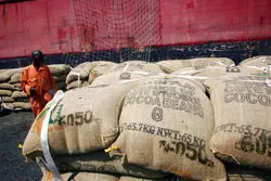 رکوردشکنی قیمت کاکائو به دلیل کاهش عرضه از سوی تولیدکنندگان اصلی