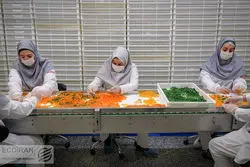 عبور نرخ اشتغال از مرز 12 ساله 