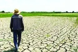 هشدار کشاورزان از دل ناترازی انرژی، تهدیدی تازه برای امنیت غذایی