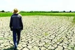 هشدار کشاورزان از دل ناترازی انرژی، تهدیدی تازه برای امنیت غذایی