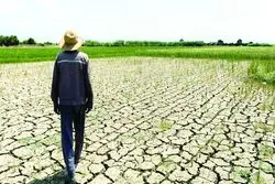 هشدار کشاورزان از دل ناترازی انرژی، تهدیدی تازه برای امنیت غذایی