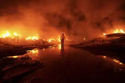 جزئیات جدید از حریق پاساژ ارغوان / فرماندار شهریار: آمار فوتی‌ها قطعی شد + ویدیو