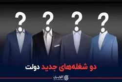 دو شغله های جدید دولت