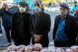 دو عامل بازگشت صف مرغ 