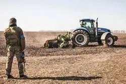 روسیه عوارض صادراتی گندم را افزایش داد 