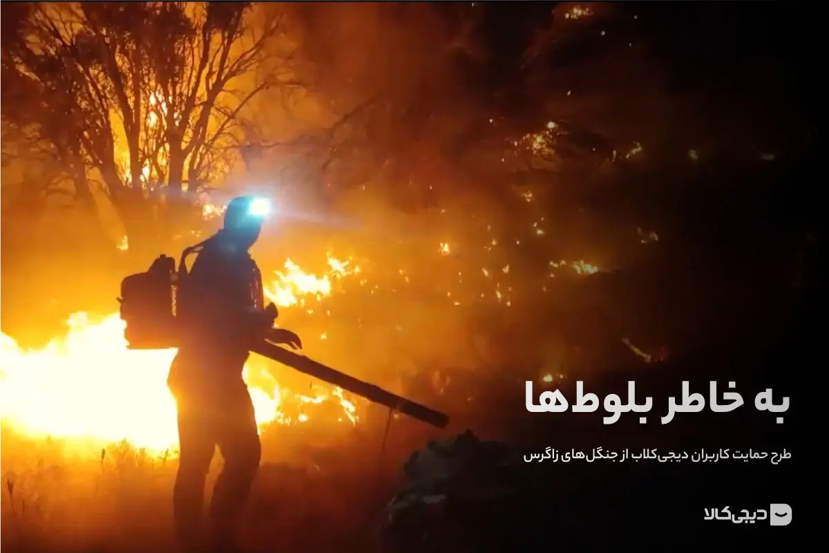  حفاظت از میراث زاگرس با مشارکت در طرح حمایتی به خاطر بلوط‌ها