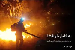  حفاظت از میراث زاگرس با مشارکت در طرح حمایتی به خاطر بلوط‌ها