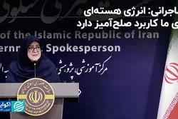 مهاجرانی: انرژی هسته‌ای برای ما کاربرد صلح آمیز دارد