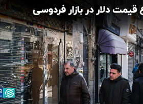 تنوع قیمت دلار در بازار فردوسی