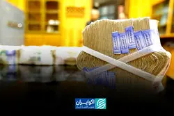 استقبال سرد از اوراق دولتی؛چرا بانک‌ها دیگر خریدار اوراق دولت نیستند؟