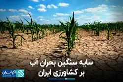 سایه سنگین بحران آب بر کشاورزی ایران