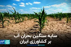 سایه سنگین بحران آب بر کشاورزی ایران