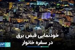 عرض‌اندام قبض برق در مخارج خانوار