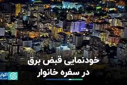 عرض‌اندام قبض برق در مخارج خانوار