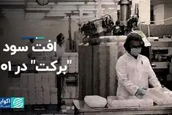 افت سود شرکت 