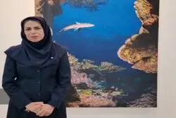 رصد کوسه‌ در سواحل کیش؛ پاسخ اداره محیط زیست به نگرانی‌ها