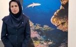 رصد کوسه‌ در سواحل کیش؛ پاسخ اداره محیط زیست به نگرانی‌ها