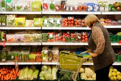 فائو گزارش داد؛ کاهش و رشد قیمت مواد غذایی در جهان + نمودار