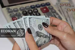 قیمت دلار، یورو و درهم امروز دوشنبه ۲۹ دی۱۴۰۴+ کاهش قیمت‌ها؟
