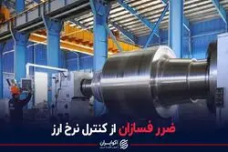 ضرر فسازان از کنترل نرخ ارز