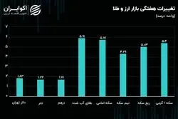 پیشروی طلا و سکه با دوگانه‌سوزی/ تتر سر به هوا شد 