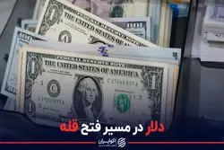 دلار در مسیر فتح قله
