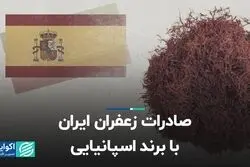 صادرات زعفران ایران با برند اسپانیایی