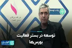 توسعه در بستر فعالیت بورس‌ها