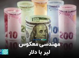 مهندسی معکوس لیر با دلار