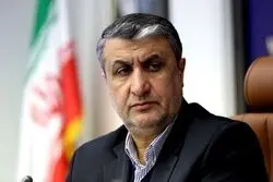 نقش فناوری هسته‌ای در پیشبرد سایر صنایع/ امکان گشایش اقتصادی با پرتودهی محصولات کشاورزی