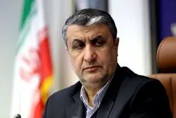 اسلامی: دقت حمله اسرائیل نشان می‌دهد اطلاعاتی که در اختیار آژانس بین‌المللی انرژی اتمی بوده، مورد سوءاستفاده قرار گرفت