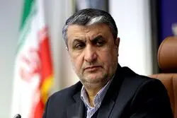 طرح بزرگ هسته‌ای ایران/ رئیس سازمان انرژی اتمی خبر داد