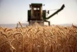 اعلام قیمت‌ ارزی ۵۰ کالای اساسی و نهاده‌های بخش کشاورزی + فهرست