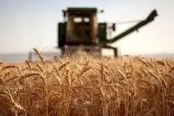 اعلام قیمت‌ ارزی ۵۰ کالای اساسی و نهاده‌های بخش کشاورزی + فهرست