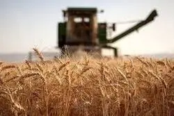 اعلام قیمت‌ ارزی ۵۰ کالای اساسی و نهاده‌های بخش کشاورزی + فهرست