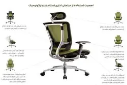 اهمیت استفاده از مبلمان اداری استاندارد و ارگونومیک