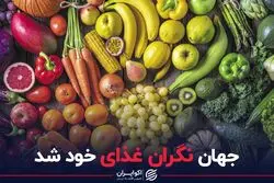 جهان نگران غذای خود شد