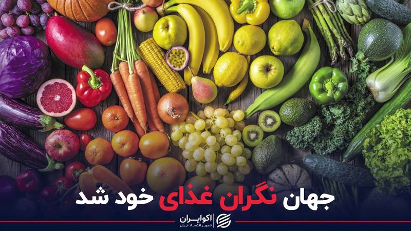 جهان نگران غذای خود شد