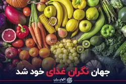 جهان نگران غذای خود شد