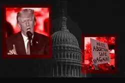 جدال با فیک نیوزها کلید خورد؟ آغاز بازی سرزنش « فیل ها»