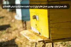 بازار عسل ایران، بهترین عسل های ایران از دید کیفیت،صادرات و ارزش اقتصادی