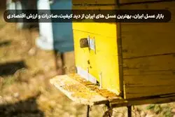 بازار عسل ایران، بهترین عسل های ایران از دید کیفیت،صادرات و ارزش اقتصادی
