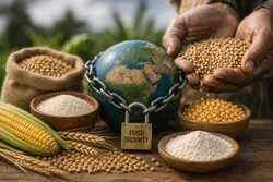 چگونه تجارت غذا می‌تواند به اهرمی برای قدرت ملی تبدیل شود؟