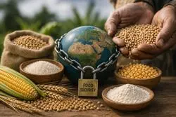چگونه تجارت غذا می‌تواند به اهرمی برای قدرت ملی تبدیل شود؟