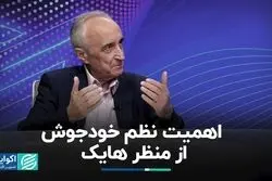 اهمیت نظم خودجوش از منظر هایک 